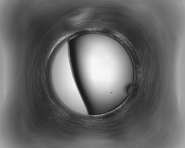 X0000087600727200704271042