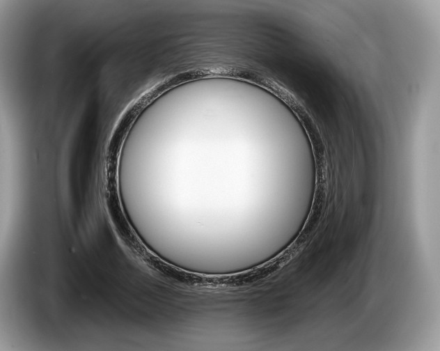 X0000087600730200704271042
