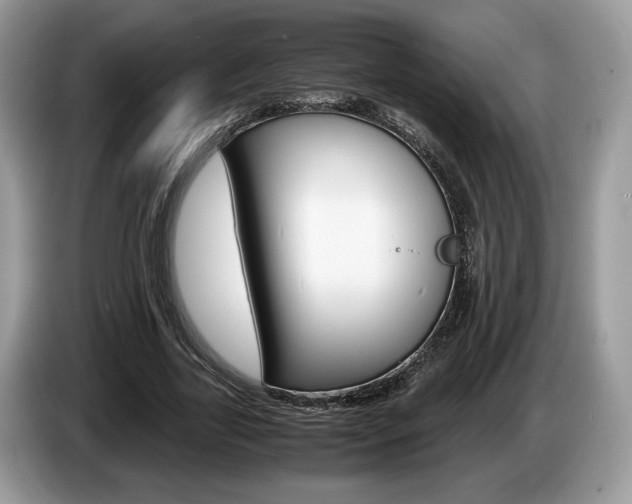 X0000087600731200704271042