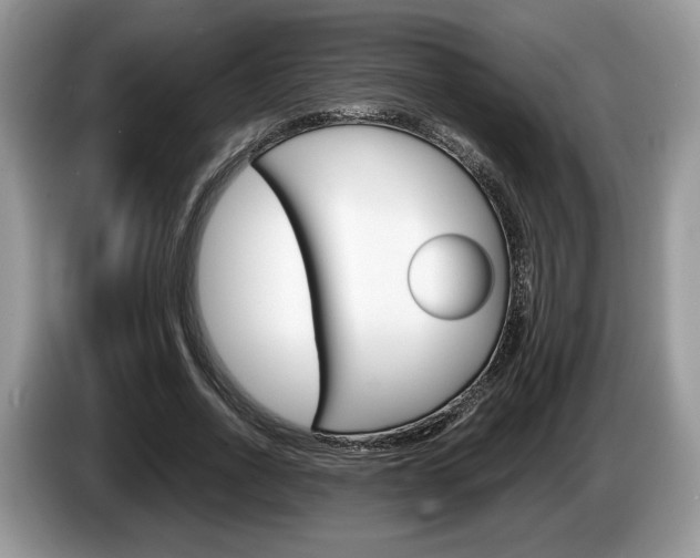 X0000087600734200704271043