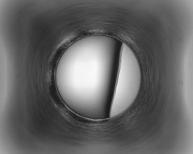 X0000087600735200704271043