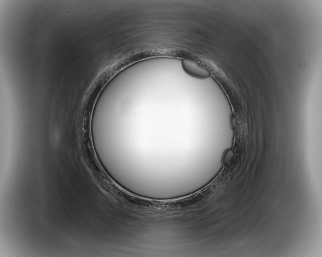 X0000087600736200704271043