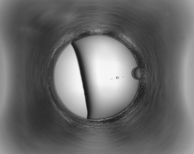 X0000087600738200704271043