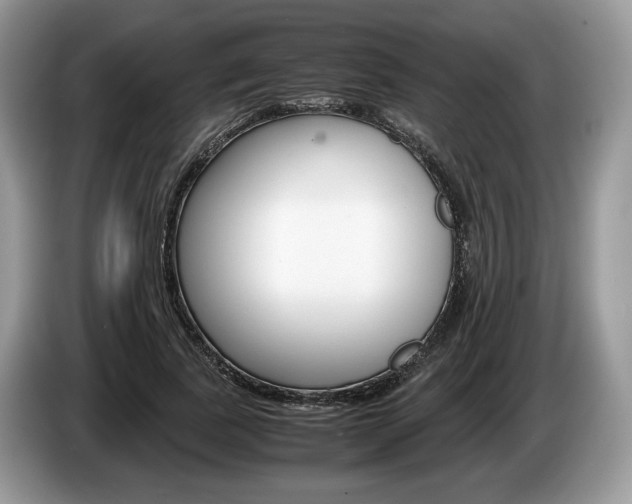 X0000087600739200704271043