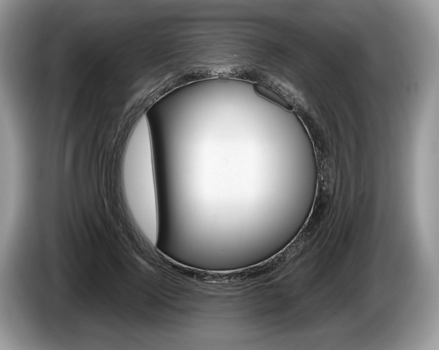 X0000087600740200704271043