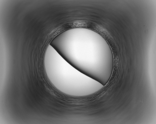 X0000087600741200704271043