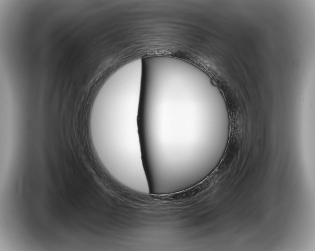 X0000087600742200704271043