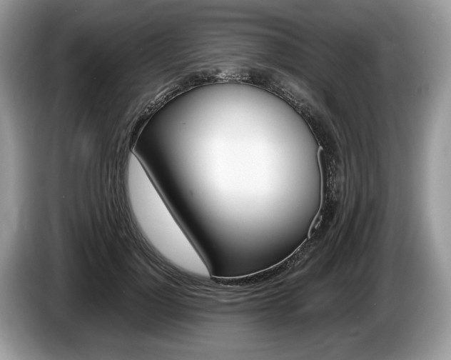 X0000087600748200704271043