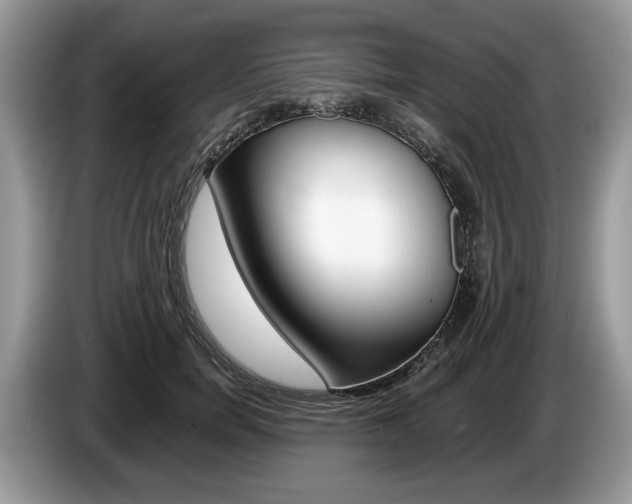 X0000087600750200704271043
