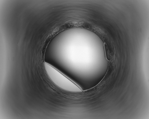 X0000087600752200704271043