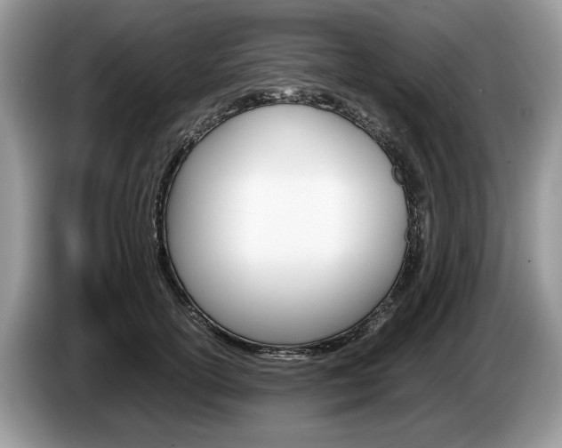 X0000087600754200704271043