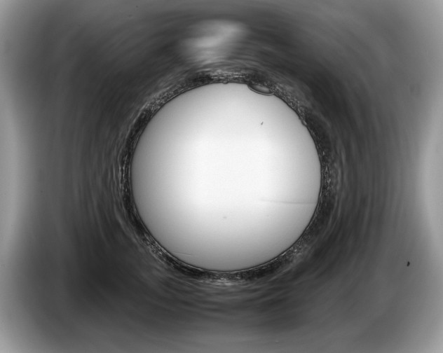 X0000087600755200704271043