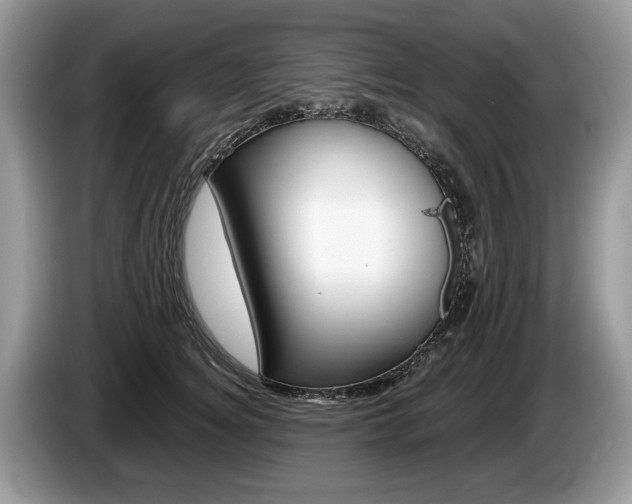 X0000087600756200704271043