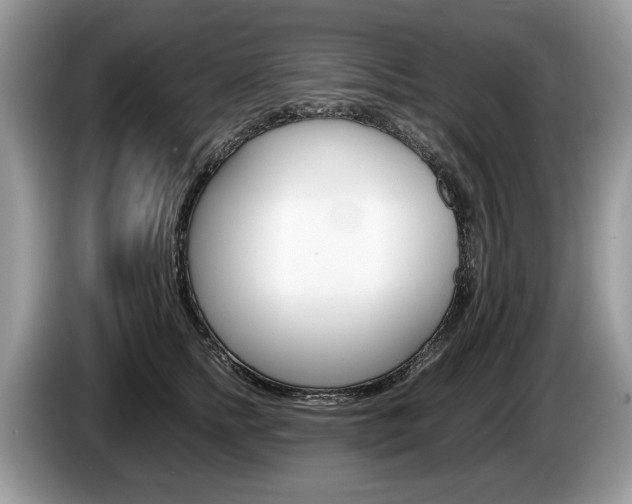 X0000087600758200704271043