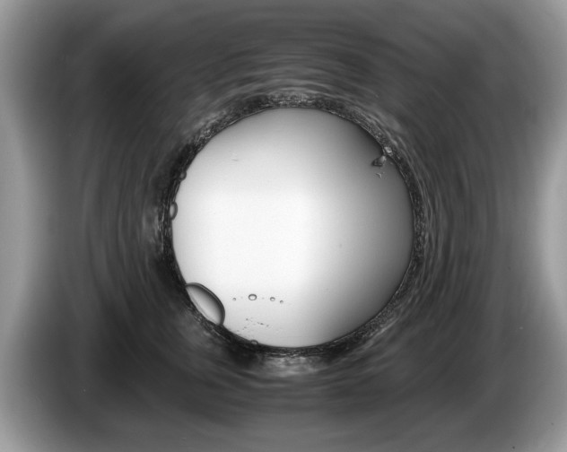 X0000087600759200704271043