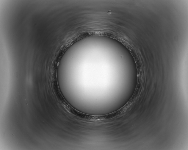 X0000087600760200704271043
