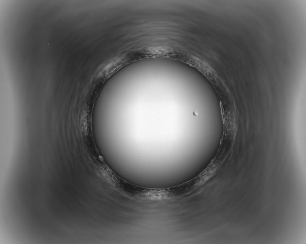 X0000087600762200704271043