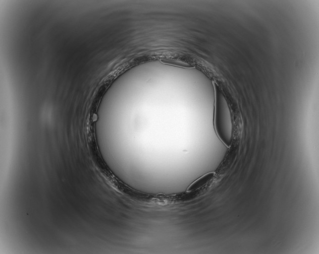 X0000087600764200704271043