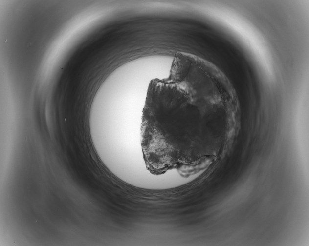 X0000087600765200704271043