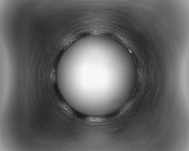 X0000087600766200704271043
