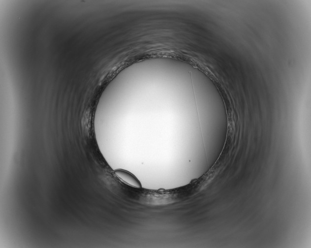 X0000087600767200704271043