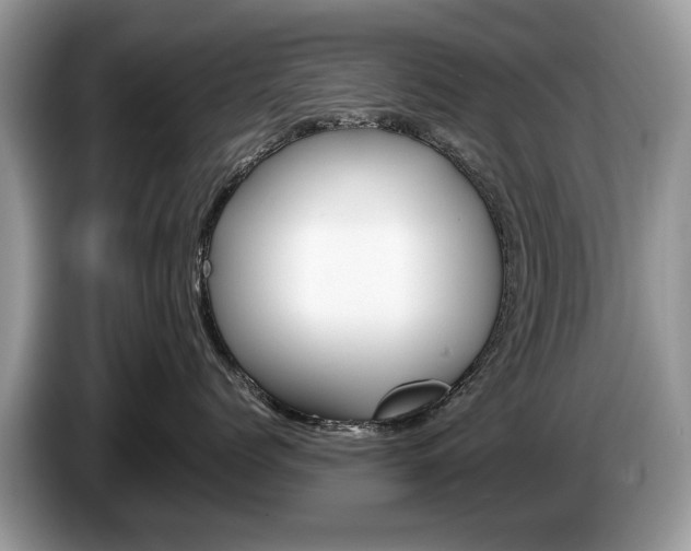 X0000087600768200704271043