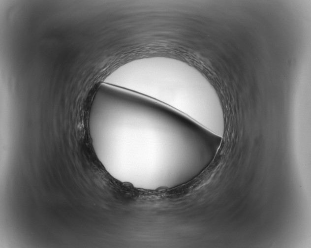 X0000087600771200704271042