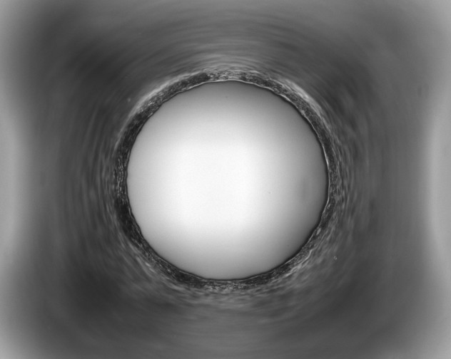 X0000087600775200704271042