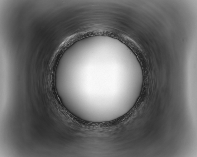 X0000087600776200704271042