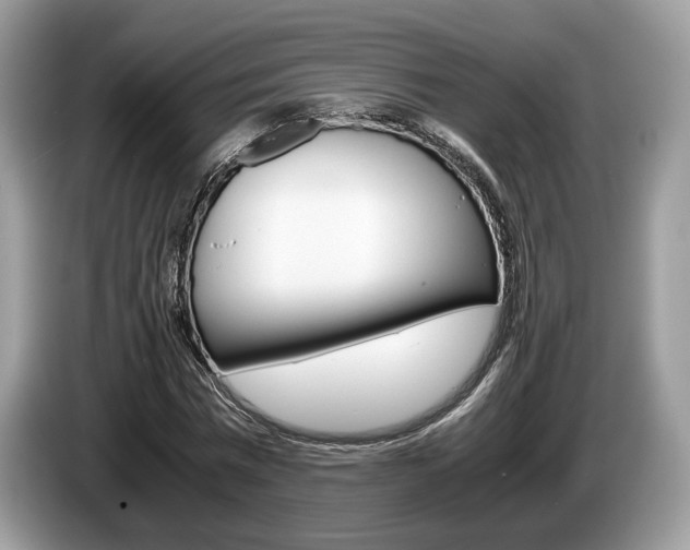 X0000087600777200704271042