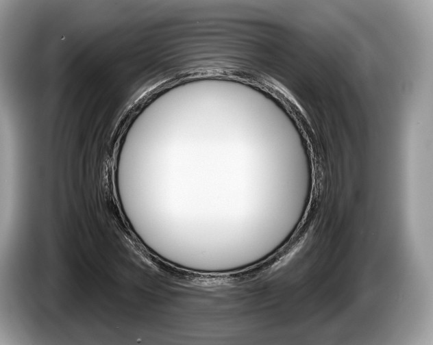 X0000087600778200704271042