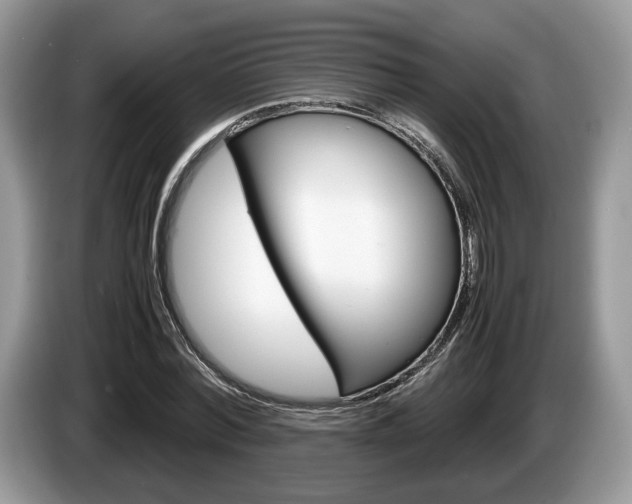 X0000087600780200704271042