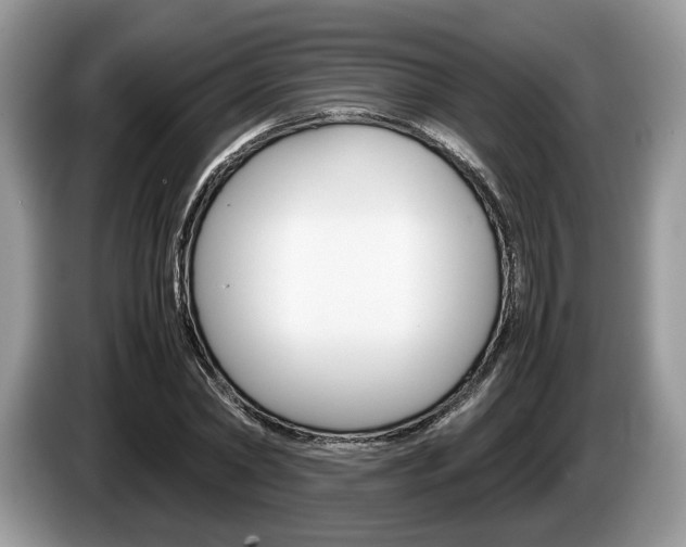 X0000087600782200704271042