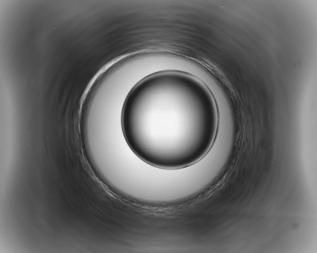 X0000087600784200704271042