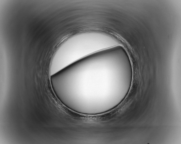 X0000087600785200704271042