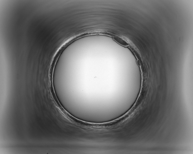 X0000087600789200704271042