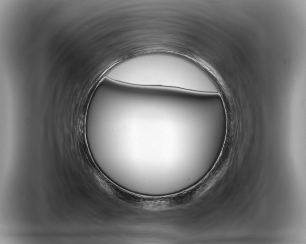 X0000087600793200704271042