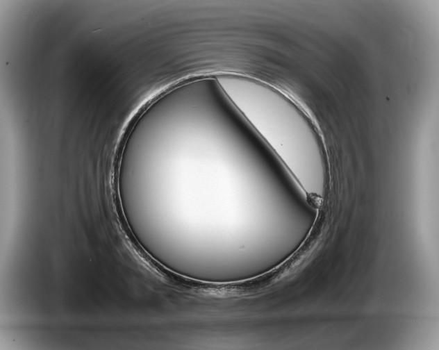 X0000087600797200704271042