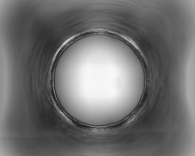 X0000087600799200704271042