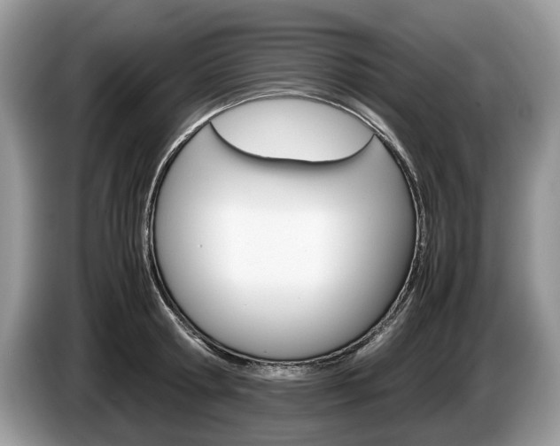 X0000087600802200704271042
