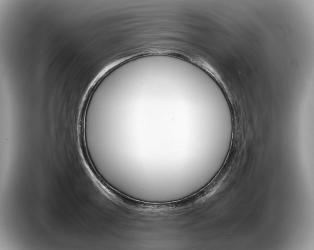 X0000087600803200704271042