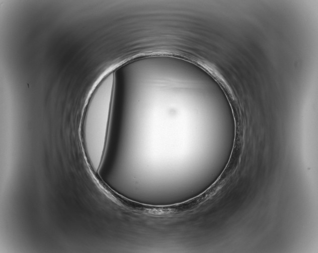 X0000087600805200704271042