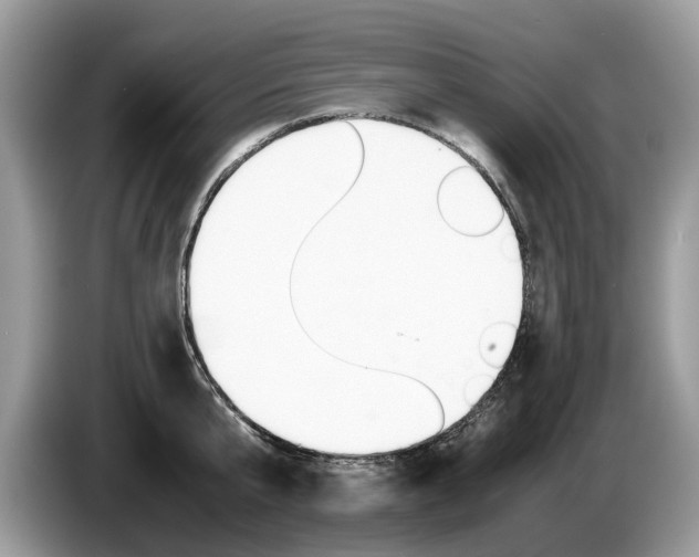 X0000087600807200704271042