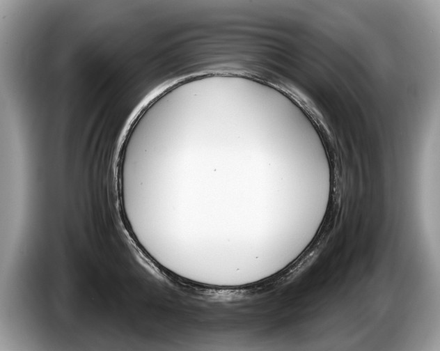 X0000087600808200704271042