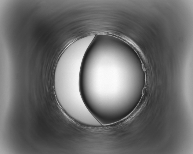 X0000087600809200704271042
