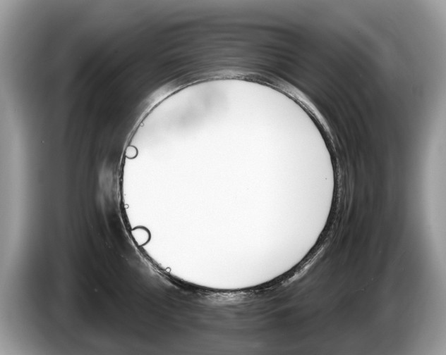 X0000087600810200704271042