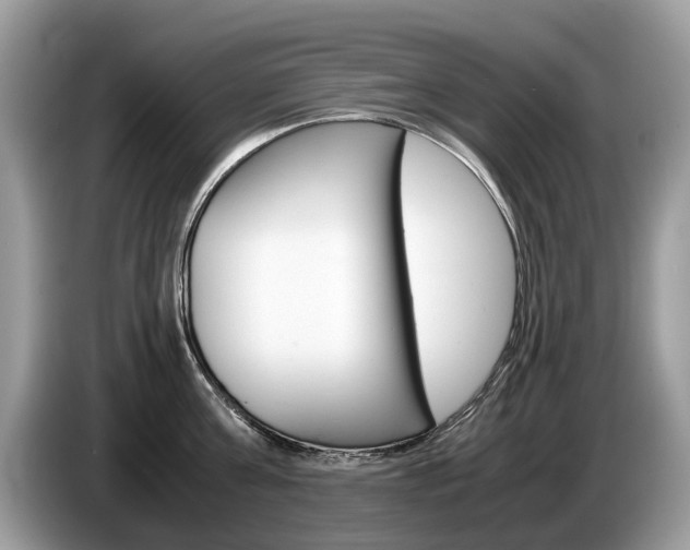 X0000087600811200704271042