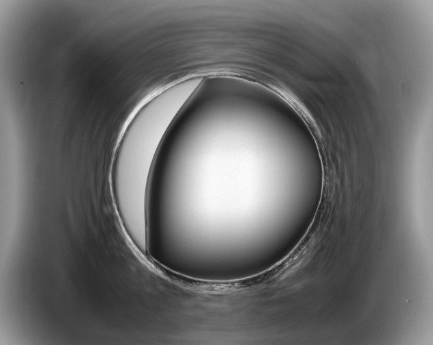 X0000087600813200704271042