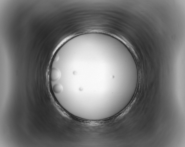 X0000087600814200704271042