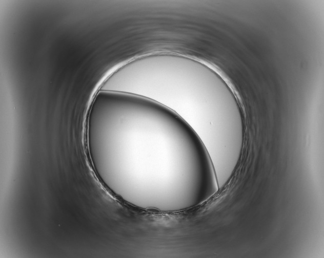 X0000087600815200704271042